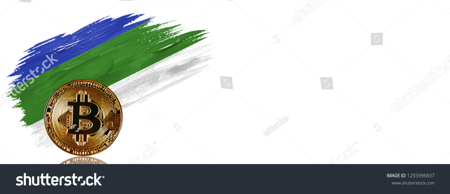 /images/20241013/694ad3e2-0b7f-489a-a2ac-cdef46b18f5b.jpg