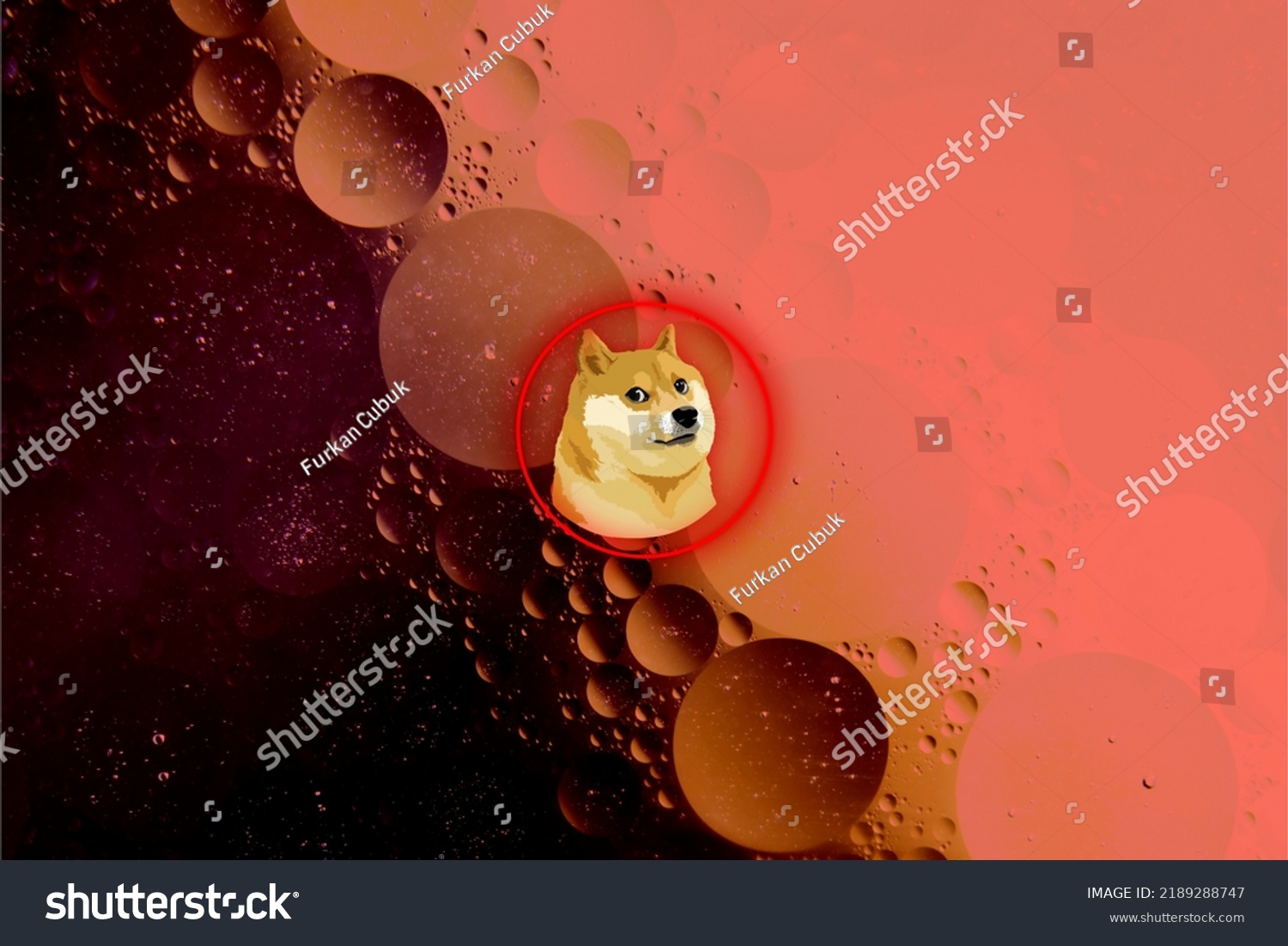 /images/20241013/9248bed2-9af2-4612-abdd-43f83e393e3f.jpg
