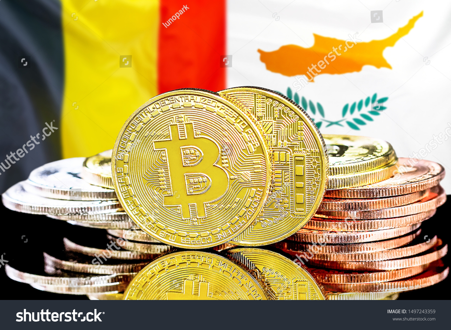 /images/20241013/b169c17f-79f8-4a1b-83cb-e9da71046ff8.jpg