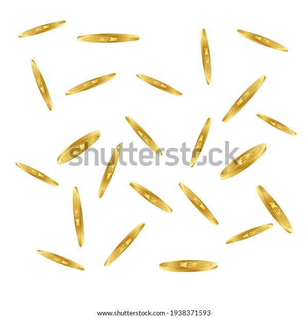 /images/20241014/56fa3334-ac04-4033-92b4-393b106af89c.jpg