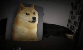 /images/20241015/uywcp6jntd.jpg