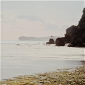 /images/wstouxiang/6281226808021.png