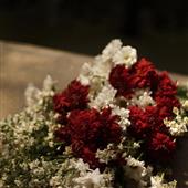 /images/wstouxiang/6281226916232.png