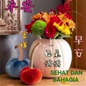 /images/wstouxiang/6281237008094.png