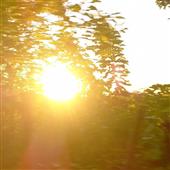 /images/wstouxiang/6281237204557.png