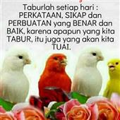 /images/wstouxiang/6281237214914.png