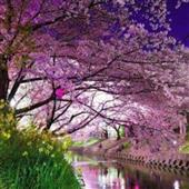 /images/wstouxiang/6281237543043.png