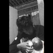 Alib