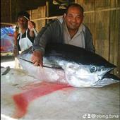 /images/wstouxiang/6281237979945.png