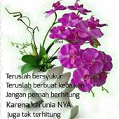 /images/wstouxiang/6281246088864.png