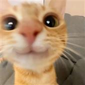/images/wstouxiang/6281246715118.png
