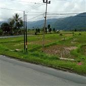 /images/wstouxiang/6281266110470.png