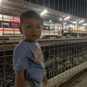 /images/wstouxiang/6281266220936.png
