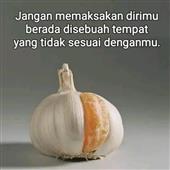 /images/wstouxiang/6281266290174.png