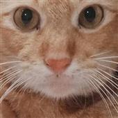 /images/wstouxiang/6281266351600.png