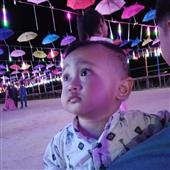 Vệ t