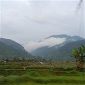 /images/wstouxiang/6281266451707.png