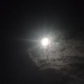 Ruja