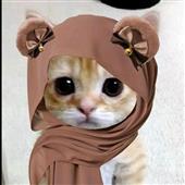 /images/wstouxiang/6281266533550.png