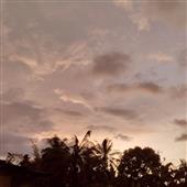 /images/wstouxiang/6281266538954.png
