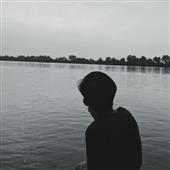 Luật