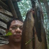 Nhà 