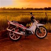 Anh 