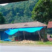/images/wstouxiang/6281266651130.png