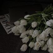 /images/wstouxiang/6281266665342.png