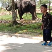 /images/wstouxiang/6281266807878.png