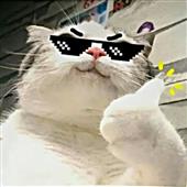 /images/wstouxiang/6281266904462.png