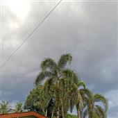 /images/wstouxiang/6281266973455.png