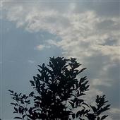 /images/wstouxiang/6281266992059.png