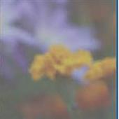 /images/wstouxiang/6281320072824.png