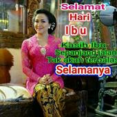/images/wstouxiang/6281320223336.png