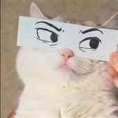 /images/wstouxiang/6281320295479.png