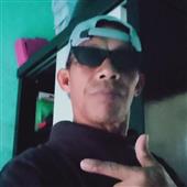 Cung