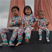 Luật