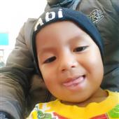 Bewa