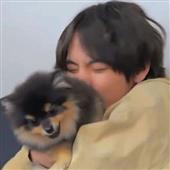 Thuy