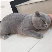 /images/wstouxiang/6281338739229.png