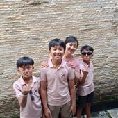 Luật