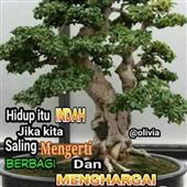 /images/wstouxiang/6282115072586.png