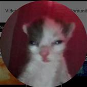 /images/wstouxiang/6282115105801.png