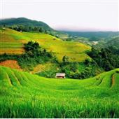 /images/wstouxiang/6282115109424.png