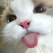 Soi 