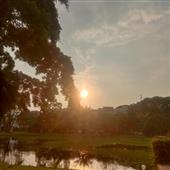 /images/wstouxiang/6282115421060.png