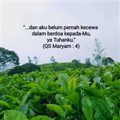 /images/wstouxiang/6282115499531.png