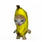 /images/wstouxiang/6282115584193.png