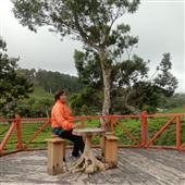 /images/wstouxiang/6282115666612.png